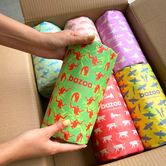 Bazoo kitchen roll