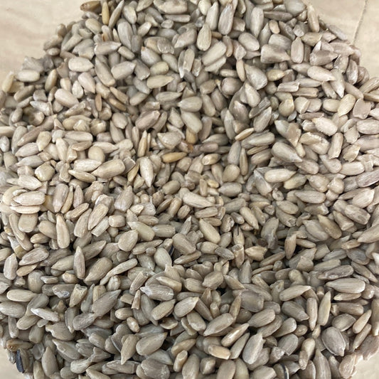Sunflower 100g