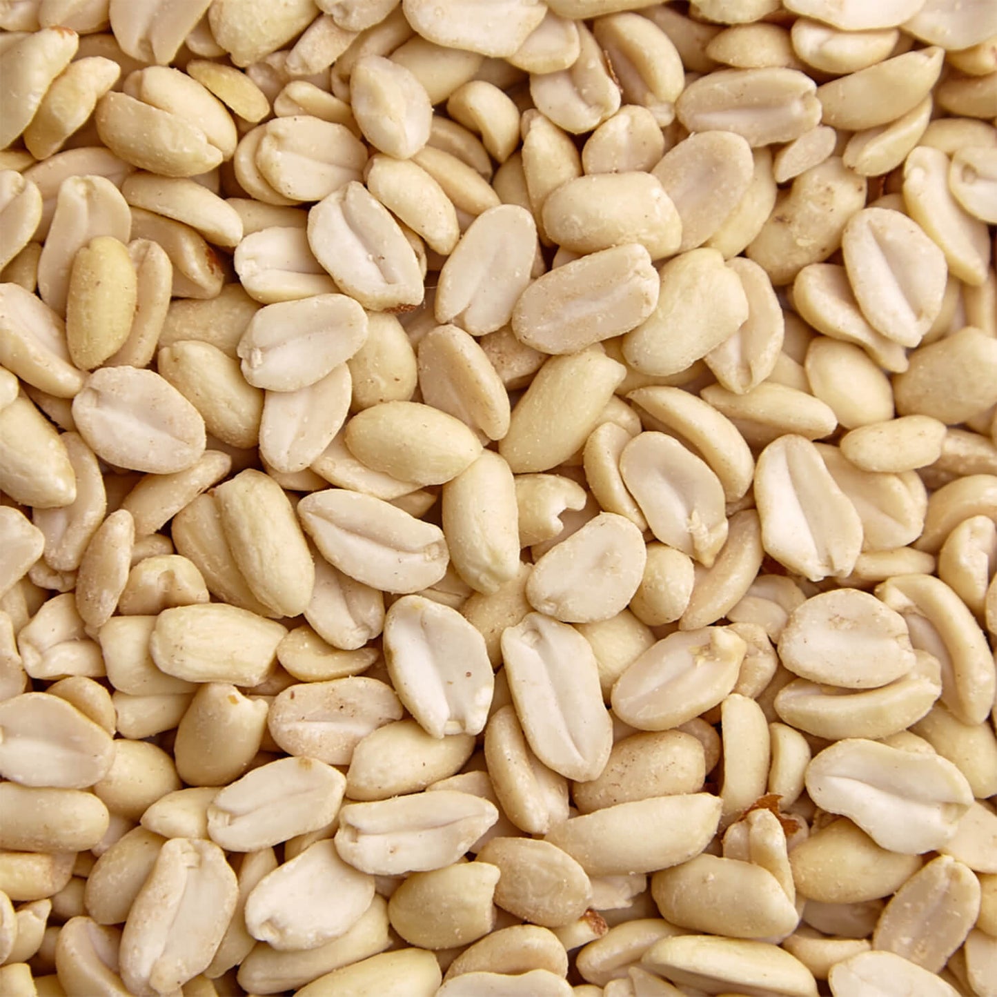 Peanuts Blanched 100g