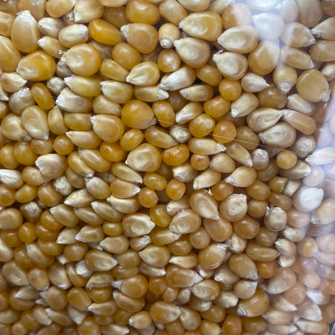 Popcorn 100g