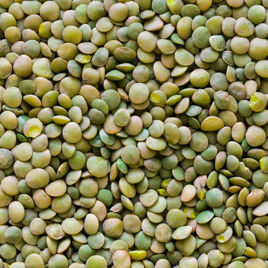Green Lentils 100g