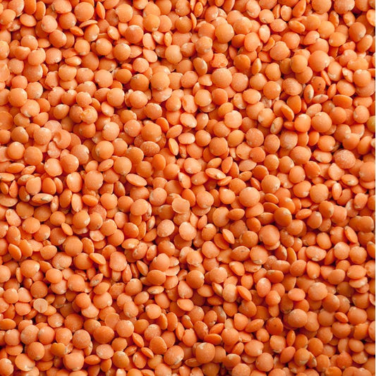 Red Lentils 100g