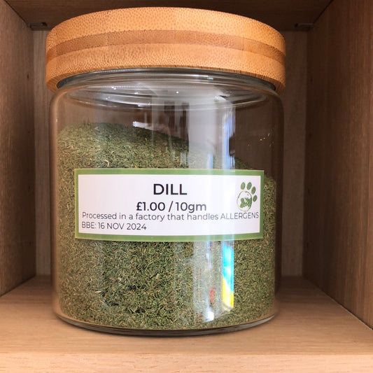 Dill 10g