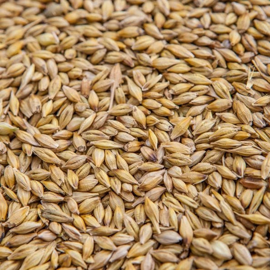 Barley 100g