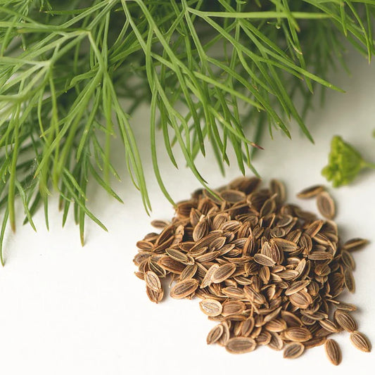 Dill Seed