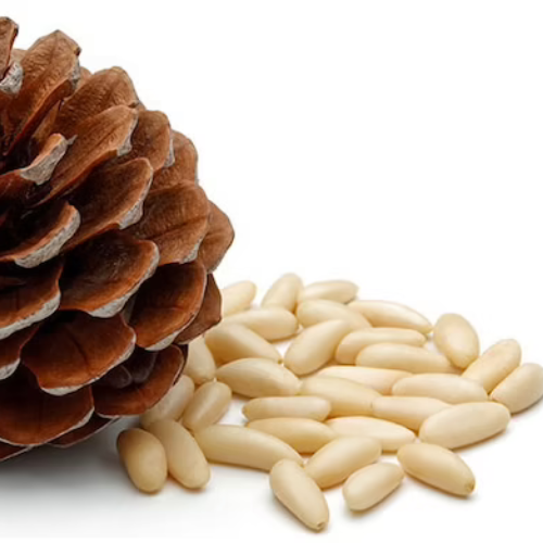 Pine Nuts 100gm