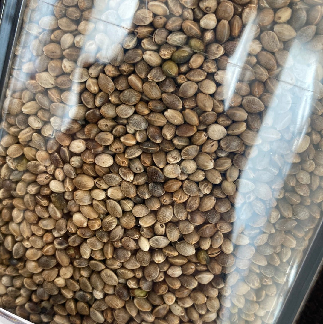 Hemp Seeds 100g
