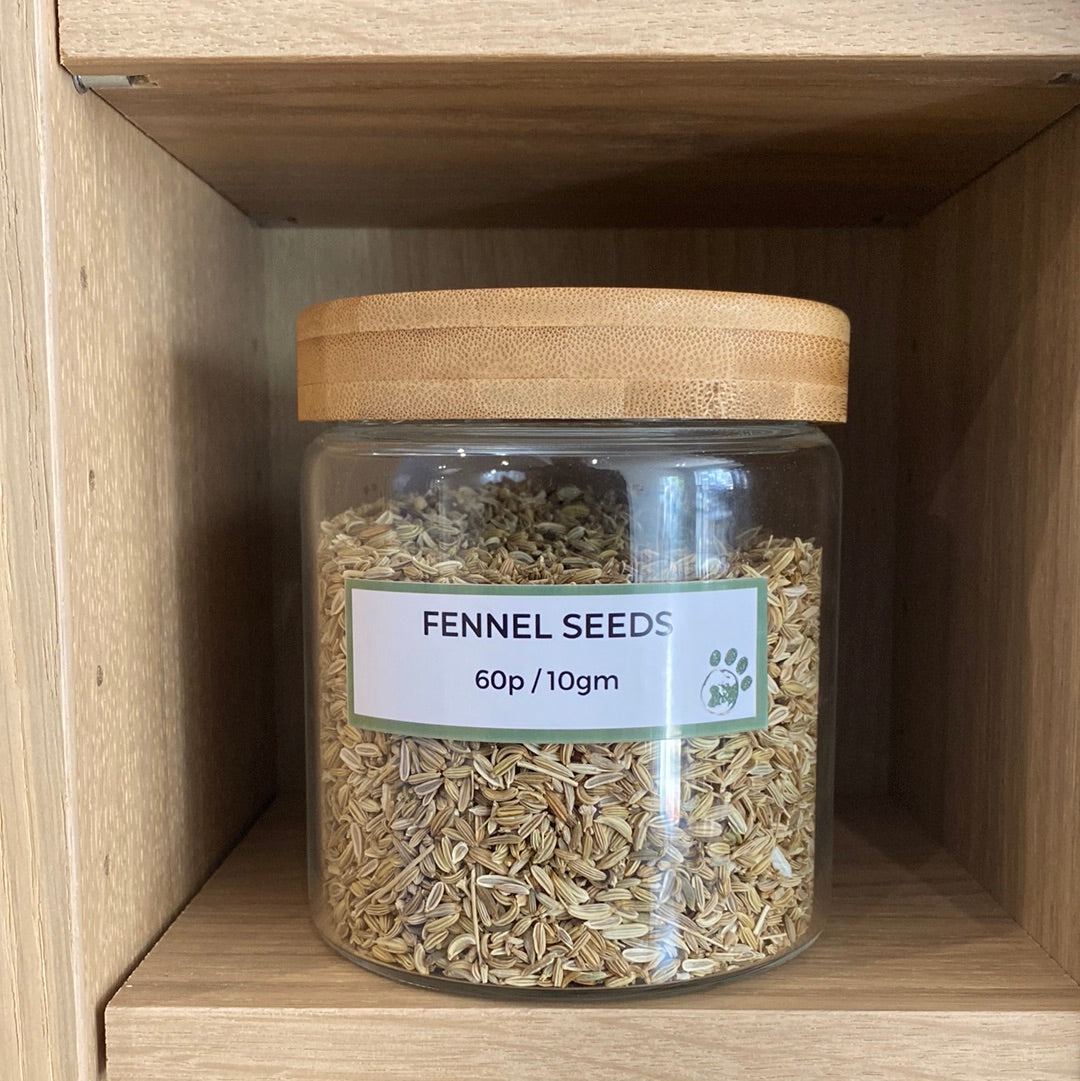 Fennel Seeds 10g