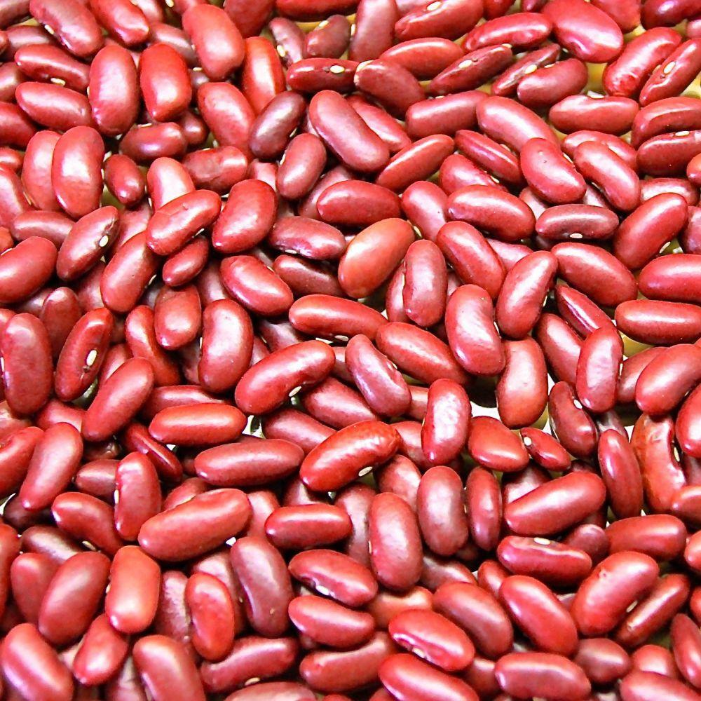 Kidney Beans 100g